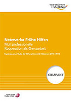 Titelbild - Netzwerke Frühe Hilfen. Multiprofessionelle Kooperation als Grenzarbeit