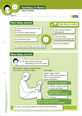 Arbeitsblatt Das Baby: 9. Monat