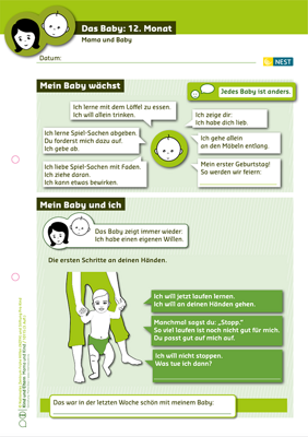 Arbeitsblatt Das Baby: 12. Monat