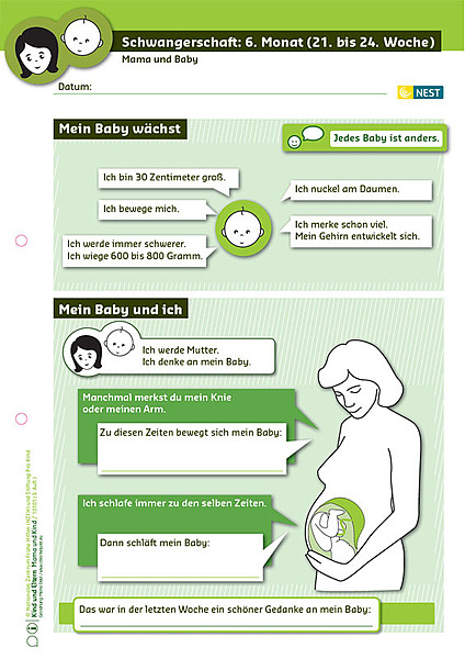 Schwangerschaft: 6. Monat | Nationales Zentrum Frühe Hilfen (NZFH)