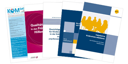 Fächerbild Publikationen QE Kinderschutz