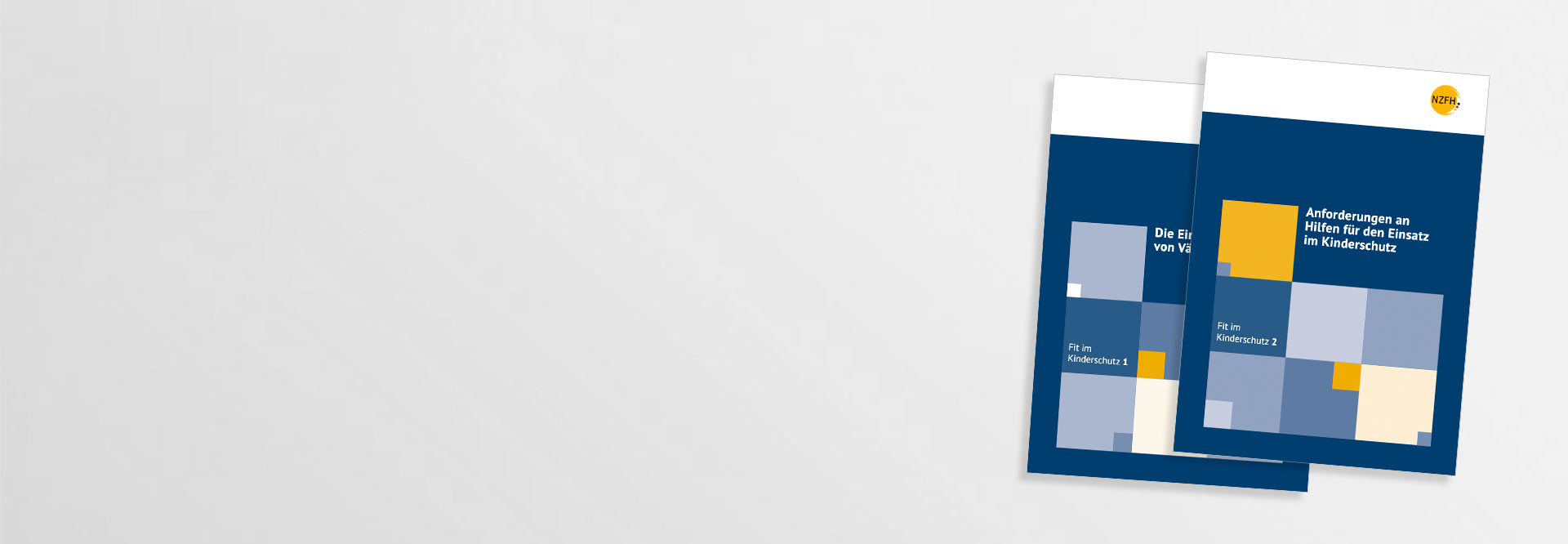 Cover der Publikationen "Fit im Kinderschutz"